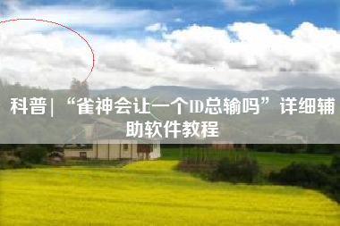 科普|“雀神会让一个ID总输吗”详细辅助软件教程