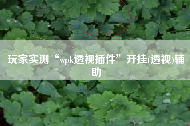 玩家实测“wpk透视插件	”开挂(透视)辅助