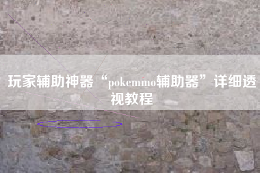 玩家辅助神器“pokemmo辅助器”详细透视教程