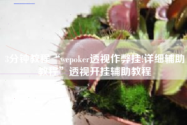 3分钟教程“wepoker透视作弊挂!详细辅助教程”透视开挂辅助教程