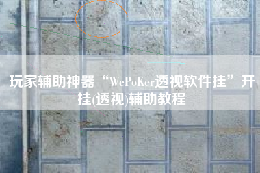 玩家辅助神器“WePoKer透视软件挂”开挂(透视)辅助教程