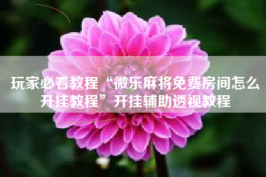 玩家必看教程“微乐麻将免费房间怎么开挂教程	”开挂辅助透视教程