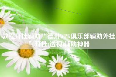 教程开挂辅助“德州WPK俱乐部辅助外挂”开挂(透视)辅助神器