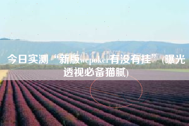 今日实测“新版wepoker有没有挂”(曝光透视必备猫腻)