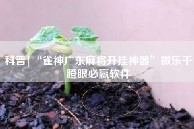 科普|“雀神广东麻将开挂神器	”微乐干瞪眼必赢软件