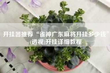 开挂器推荐“雀神广东麻将开挂多少钱”(透视)开挂详细教程