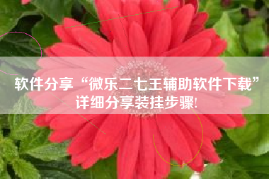 软件分享“微乐二七王辅助软件下载”详细分享装挂步骤!