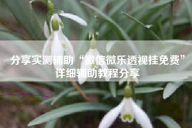 分享实测辅助“微信微乐透视挂免费	”详细辅助教程分享