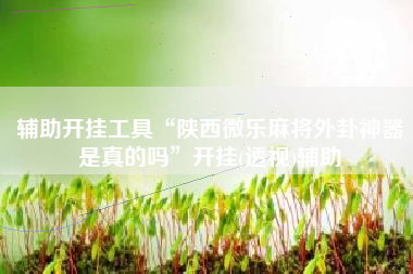 辅助开挂工具“陕西微乐麻将外卦神器是真的吗	”开挂(透视)辅助