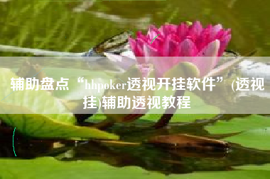 辅助盘点“hhpoker透视开挂软件”(透视挂)辅助透视教程
