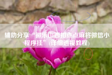 辅助分享“微乐山西扣点点麻将微信小程序挂”(详细透视教程)