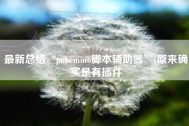 最新总结“pokemmo脚本辅助器	”(原来确实是有插件