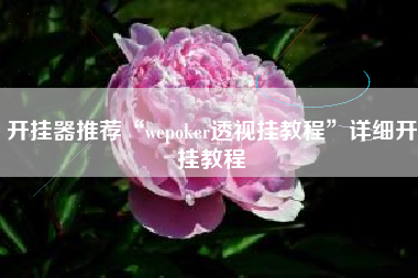 开挂器推荐“wepoker透视挂教程	”详细开挂教程