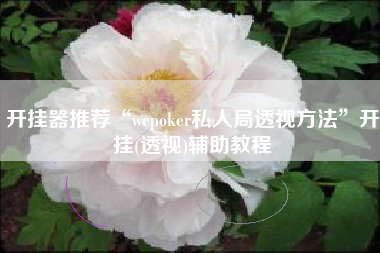 开挂器推荐“wepoker私人局透视方法”开挂(透视)辅助教程