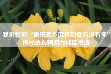 我来教你“微乐家乡麻将到底有没有挂	”揭秘透视辅助万能挂用法