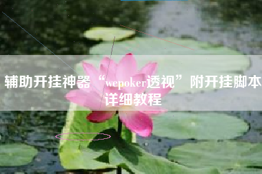 辅助开挂神器“wepoker透视”附开挂脚本详细教程