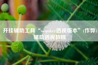 开挂辅助工具“wepoker透视版本”(作弊)辅助透视教程