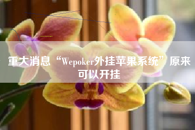 重大消息“Wepoker外挂苹果系统”原来可以开挂