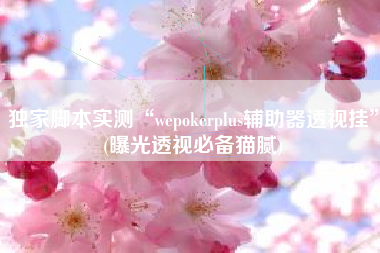 独家脚本实测“wepokerplus辅助器透视挂”(曝光透视必备猫腻) 独家脚本实测“wepokerplus辅助器透视挂”(曝光透视必备猫腻)