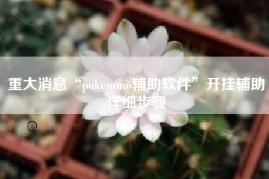 重大消息“pokemmo辅助软件	”开挂辅助详细步骤