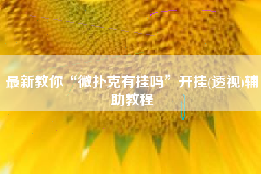 最新教你“微扑克有挂吗”开挂(透视)辅助教程