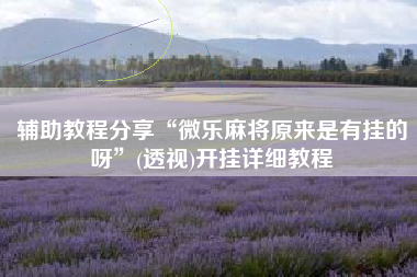 辅助教程分享“微乐麻将原来是有挂的呀”(透视)开挂详细教程