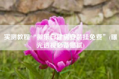 实测教程“微乐自建房安装挂免费	”(曝光透视必备猫腻)