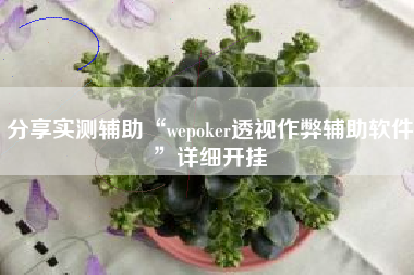 分享实测辅助“wepoker透视作弊辅助软件”详细开挂