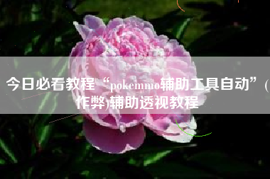 今日必看教程“pokemmo辅助工具自动”(作弊)辅助透视教程 今日必看教程“pokemmo辅助工具自动”(作弊)辅助透视教程