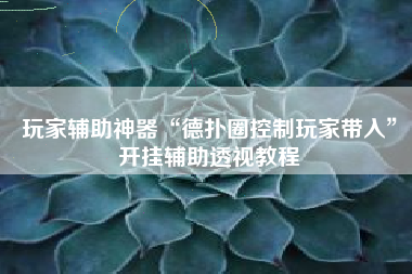 玩家辅助神器“德扑圈控制玩家带入”开挂辅助透视教程