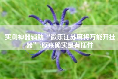 实测神器辅助“微乐江苏麻将万能开挂器	”(原来确实是有插件