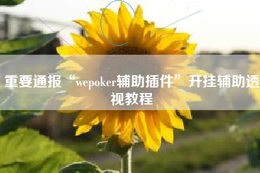 重要通报“wepoker辅助插件	”开挂辅助透视教程