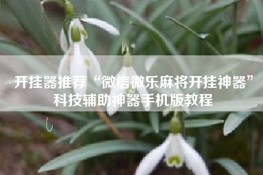 开挂器推荐“微信微乐麻将开挂神器”科技辅助神器手机版教程