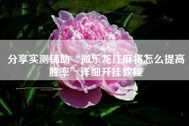 分享实测辅助“微乐龙江麻将怎么提高胜率”详细开挂教程