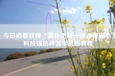 今日必看教程“德扑之星一键透视脚本”科技辅助神器手机版教程