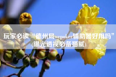 玩家必读“德州局wepoker辅助器好用吗”(曝光透视必备猫腻)
