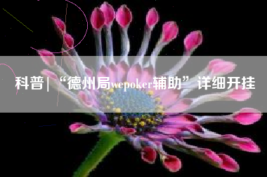 科普|“德州局wepoker辅助	”详细开挂