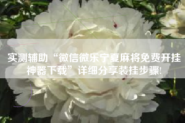 实测辅助“微信微乐宁夏麻将免费开挂神器下载”详细分享装挂步骤!