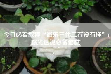 今日必看教程“微乐三代二有没有挂”(曝光透视必备猫腻)