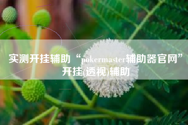 实测开挂辅助“pokermaster辅助器官网	”开挂(透视)辅助