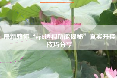 最新教你“wpk透视功能揭秘”真实开挂技巧分享