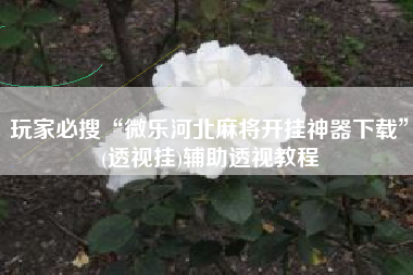 玩家必搜“微乐河北麻将开挂神器下载”(透视挂)辅助透视教程