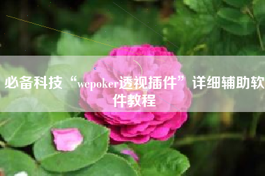 必备科技“wepoker透视插件	”详细辅助软件教程