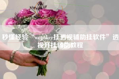 秒懂经验“wepoker挂透视辅助挂软件”透视开挂辅助教程