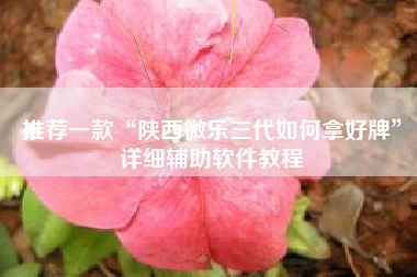 推荐一款“陕西微乐三代如何拿好牌”详细辅助软件教程