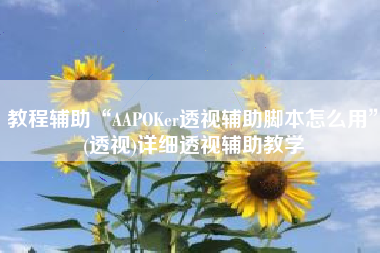 教程辅助“AAPOKer透视辅助脚本怎么用	”(透视)详细透视辅助教学