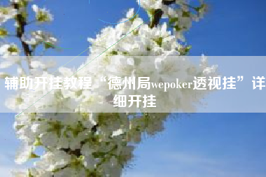辅助开挂教程“德州局wepoker透视挂	”详细开挂