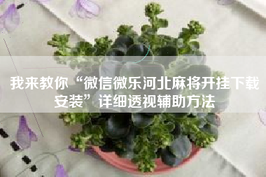 我来教你“微信微乐河北麻将开挂下载安装”详细透视辅助方法