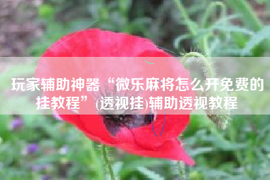 玩家辅助神器“微乐麻将怎么开免费的挂教程”(透视挂)辅助透视教程