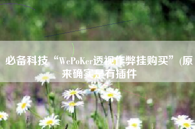 必备科技“WePoKer透视作弊挂购买	”(原来确实是有插件